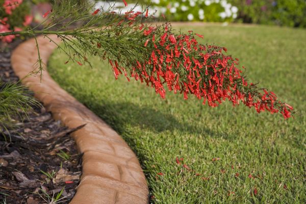 Brick Edging in Hampton