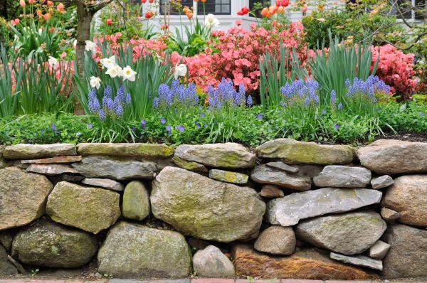 Stone Wall Hardscaping in Hampton