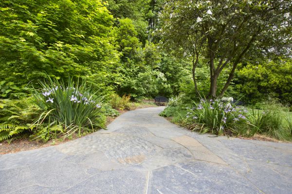 Stone Hardscape Service in Hampton